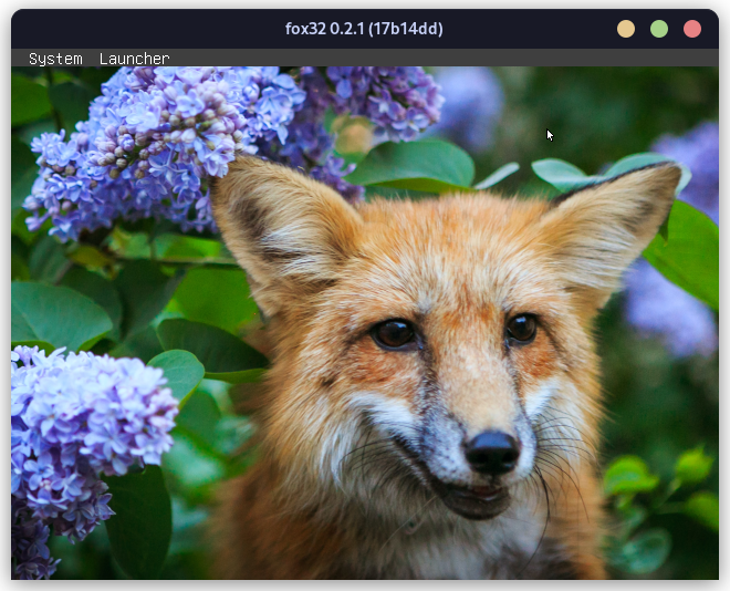 Screenshot of fox32os